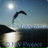 D.N.V Project