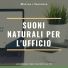 Ufficio Elegante