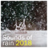 Rain for Deep Sleep, Yoga, The Rain Library