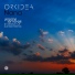 Orkidea