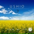 New World - Ushio (Emotional Intro Mix)