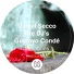 Daniel Secco, DTC DJs feat. Priscila Gava
