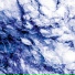 Sensu