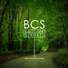 The BibleCode Sundays