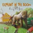 Elephant in the Room