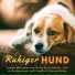 Music for Dogs Collective