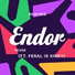 Endor feat. FERAL is KINKY