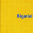 Bigmini