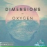 OXYGEN WORLD FUSION BAND