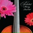 Pachelbel String Quartet