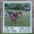 The Dirt Floor Band