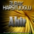 Burak Harsitlioglu