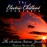 The Electric Chillout Orchestra