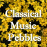 Vilnius Symphony Orchestra