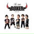 Boxer