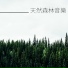 森林音樂