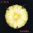 CMX