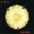 CMX