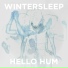 Wintersleep
