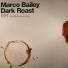 Marco Bailey