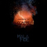 Malafide