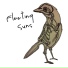 Fleeting Suns