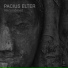 Pacius Elter