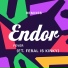 Endor feat. FERAL is KINKY