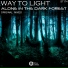Way of Light