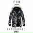 Gato