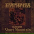 The Tennessee Mafia Jug Band