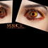 MOSHIC
