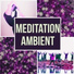 Guided Meditation Music Zone