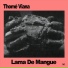 Thomé Viana