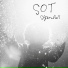Sot
