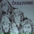 The Bully Wee Band