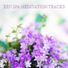 Relaxing Music Therapy, Spa Music Paradise