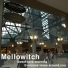 Melloewitch