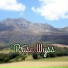 Prisc Wyss