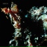 Propha n