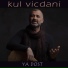 Kul Vicdani