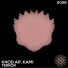Knod AP, Kami