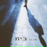 Noam Sadan