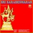 Sivapuranam D. V. Ramani