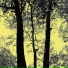 Primitive Motion, Anthony Burr