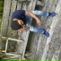 Shaphan D