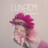 Lunaem