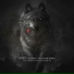 Amir Tataloo Ft Reza Pishro & Ho3ein