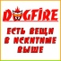 DOGFIRE