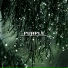Rainy Sunday